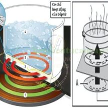 Bếp từ công nghiệp là gì? Cấu tạo và nguyên lý bếp từ công nghiệp