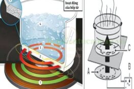 Bếp từ công nghiệp là gì? Cấu tạo và nguyên lý bếp từ công nghiệp