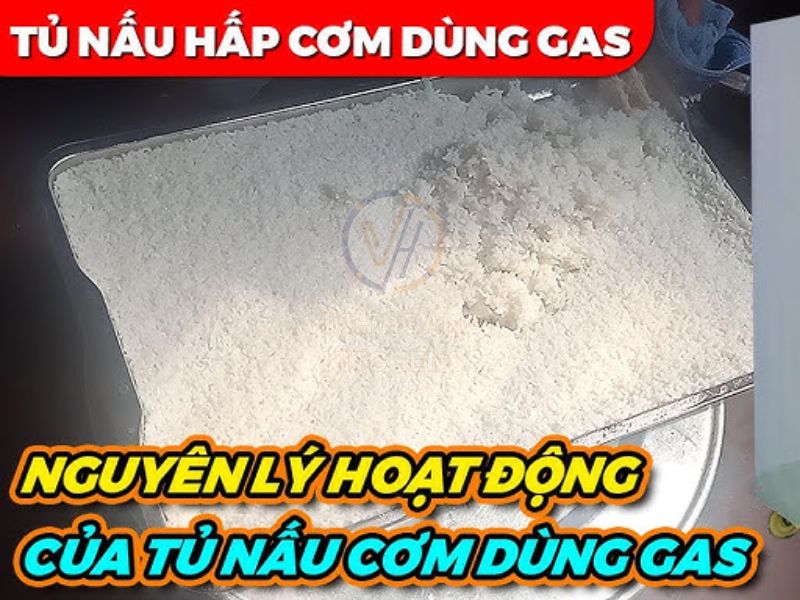Nguyên lý hoạt động của tủ cơm điện 8 khay