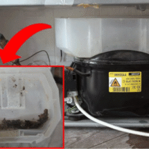 Khay nước thải tủ mát hoạt động thế nào?