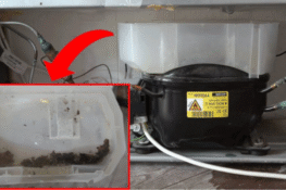 Khay nước thải tủ mát hoạt động thế nào?