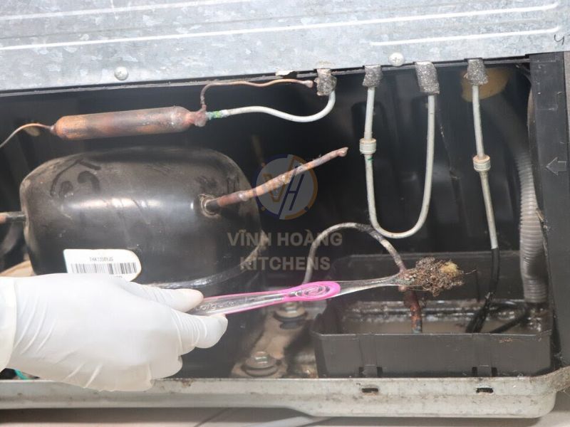 Khay chứa cặn, rêu, mùi hôi