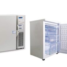 Tủ đông mini công nghiệp là gì? Ưu nhược điểm của tủ đông mini công nghiệp