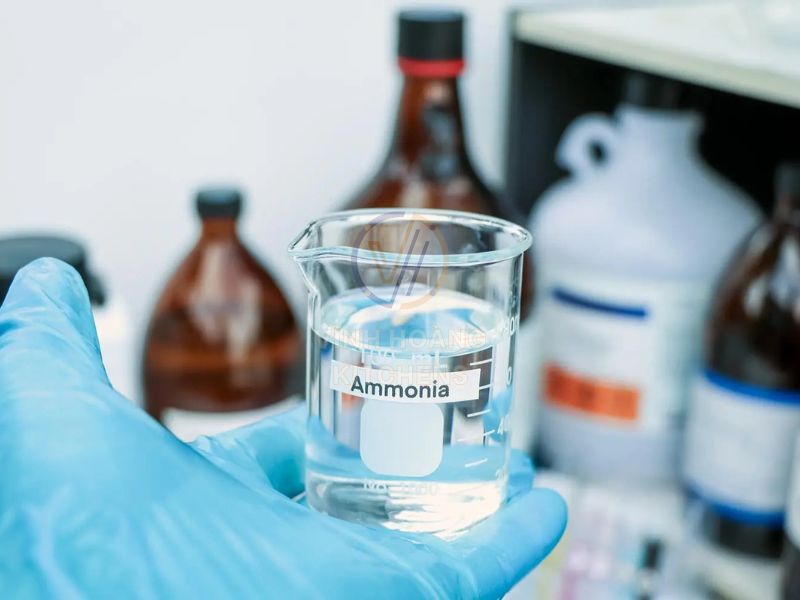 Sử dụng Amoniac pha loãng