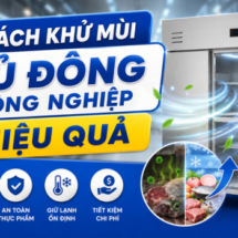 Cách khử mùi tủ đông công nghiệp hiệu quả