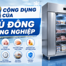 8 công dụng của tủ đông công nghiệp nhất định bạn phải biết