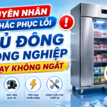Nguyên nhân và khắc phục lỗi tủ đông công nghiệp chạy không ngắt