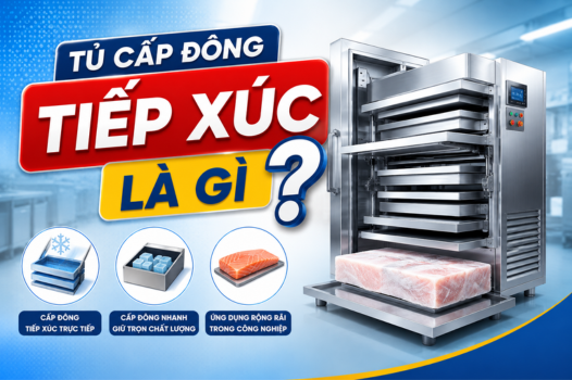 Tủ cấp đông tiếp xúc là gì? Cấu tạo và nguyên lý hoạt động