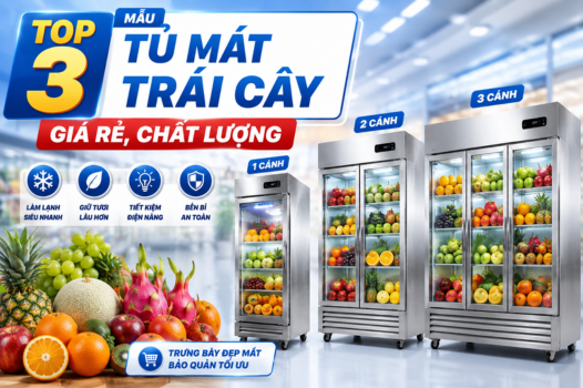 TOP 3 mẫu tủ mát trái cây giá rẻ, chất lượng
